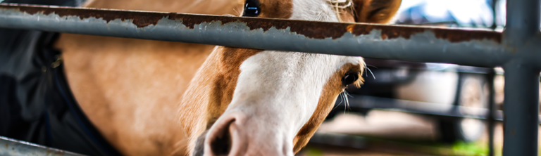 AnimalScience_header