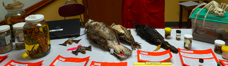 Biology_header
