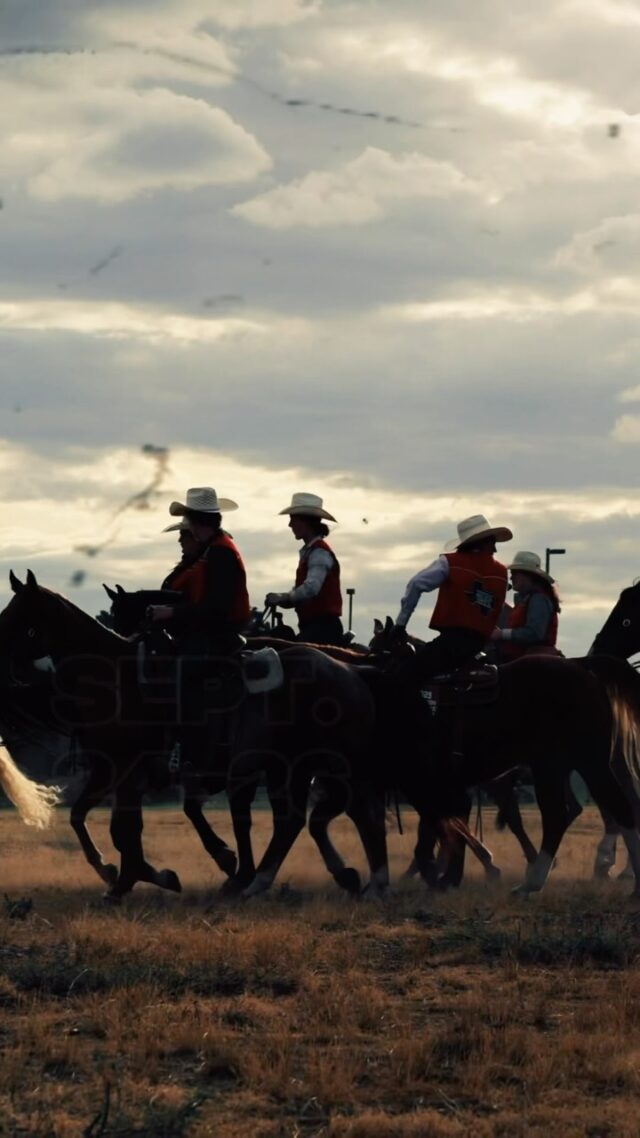 It’s rodeo time, y’all! 🤠 See you at the SALE!