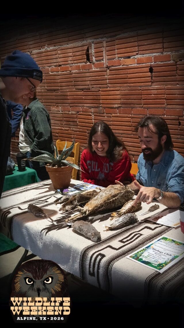 Wildlife Weekend 2026 Recap | Jan. 30 – Feb. 1

Photos can be viewed at the "SRSU Photos on Flickr" link in the bio of @sulrossstate.