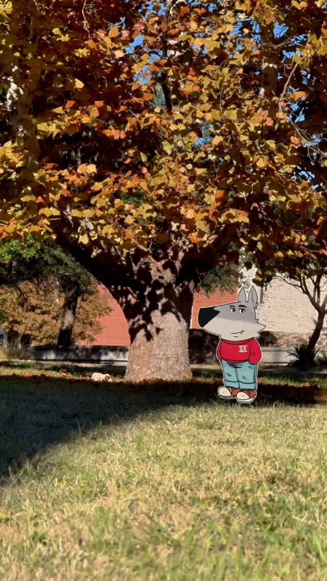 All SRSU campuses are closed for Thanksgiving break. This season, be sure to bring good vibes and grateful hearts along with our full bellies.

Thanksgiving Day, Turkey, Ham, Stuffing, Casserole, Pumpkin Pie, Leftovers, Gratitude, Harvest, Fall, Autumn, Texas, Alpine, Eagle Pass, Del Rio, Uvalde, Brand 'Em Lobos, The Frontier University of Texas, Sul Ross State University