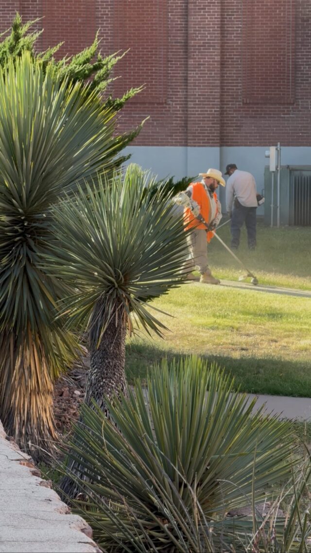 We appreciate our custodial and grounds workers for taking great care of our university. ❤️
